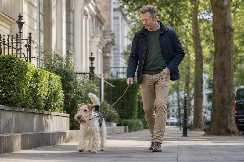 Ein Foxterrier (Drahthaar) läuft an der Leine mit seinem Besitzer durch eine moderne Stadtstraße.
