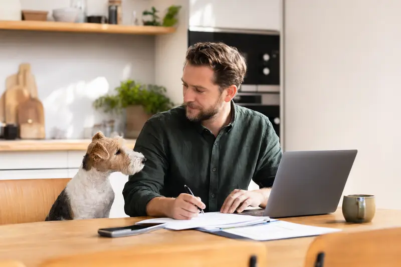 Foxterrier (Drahthaar) sitzt ruhig neben seinem Besitzer am Küchentisch mit Versicherungsunterlagen und einem Laptop zur Tierversicherung.