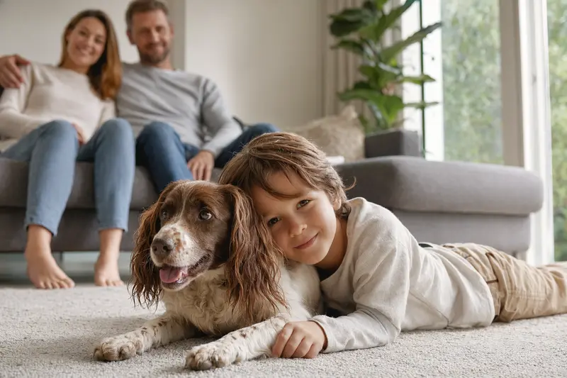 Ein entspannter Französischer Spaniel liegt neben einem Kind im Wohnzimmer und vermittelt eine vertrauensvolle Familienatmosphäre.