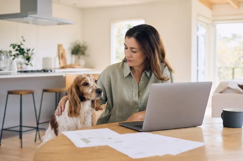 Ein ruhiger Französischer Spaniel sitzt neben seinem Besitzer am Küchentisch, auf dem Versicherungsunterlagen und ein Laptop liegen.