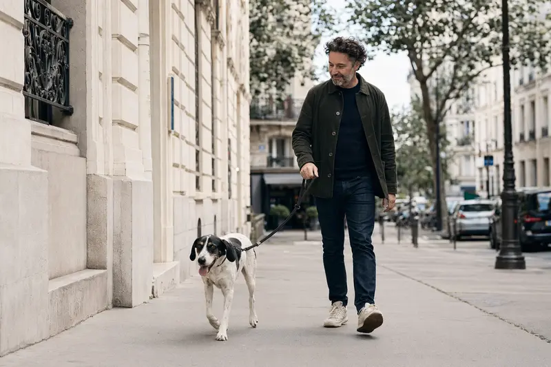 Ein Französischer Weiß-Schwarzer Laufhund läuft an der Leine mit seinem Besitzer durch eine moderne Stadtstraße.
