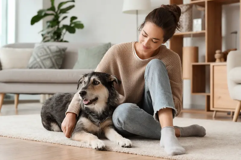 Ein glücklicher Aidi sitzt neben seinem Besitzer in einer hellen und modernen Wohnung.