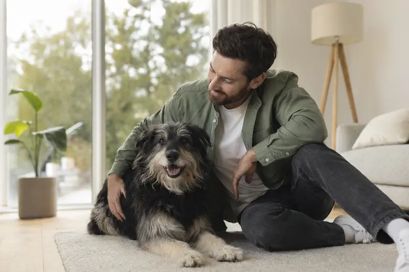 Ein freundlicher Altdeutscher Hütehund sitzt entspannt neben seinem Besitzer in einer hellen Wohnung.