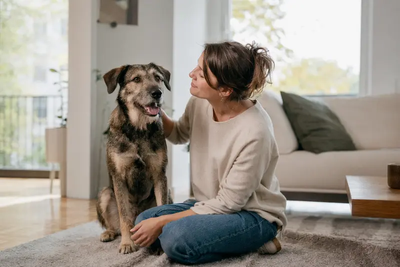 Ein gesunder, fröhlicher Hund sitzt entspannt neben seinem Halter in einer modernen Wohnung.