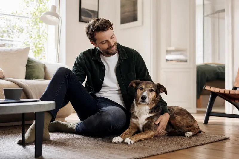 Ein glücklicher Hund sitzt entspannt neben seinem Besitzer in einer hellen Wohnung.
