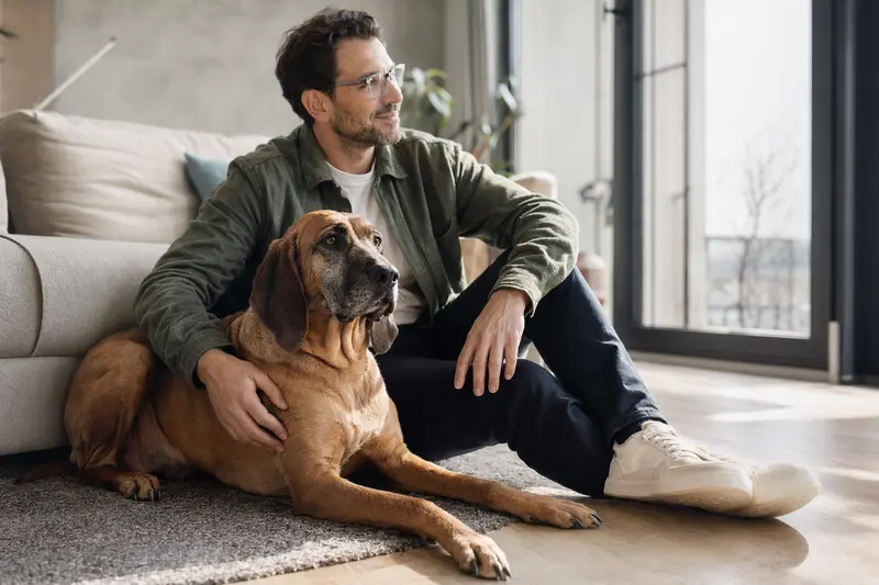 Ein entspannter Bluthund sitzt neben seinem Besitzer in einer modernen Wohnung und strahlt Vertrauen aus.