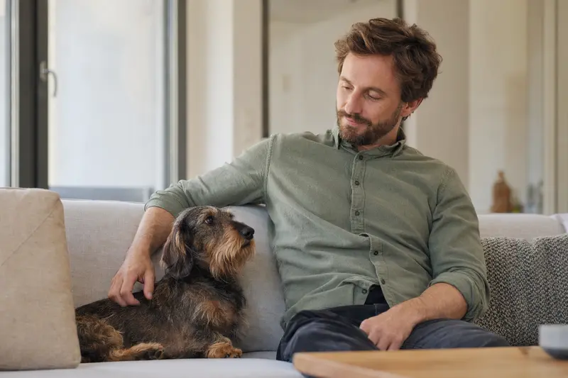 Ein entspannter Dachshund sitzt neben seinem glücklichen Besitzer in einer modernen Wohnung.