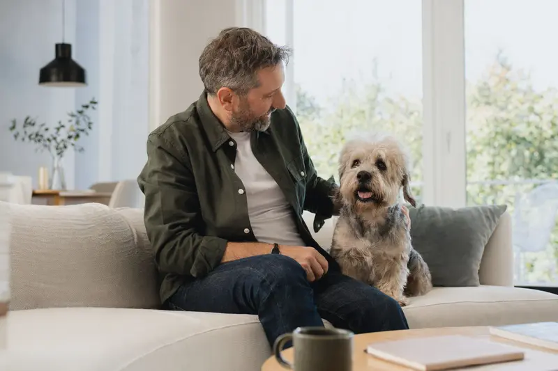 Ein entspannter Dandie Dinmont Terrier sitzt neben seinem glücklichen Besitzer in einer modernen Wohnung.