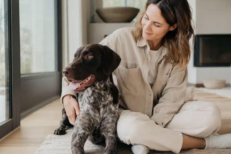 Ein glücklicher Deutscher Vorstehhund sitzt entspannt neben seinem Halter in einer hellen Wohnung und vermittelt eine vertrauensvolle Atmosphäre rund um Hundegesundheit und Hundversicherung.