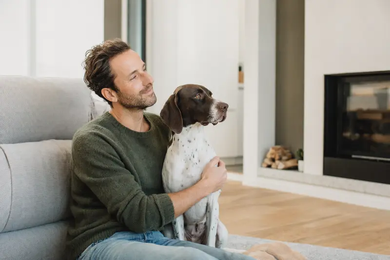 Ein glücklicher Englischer Pointer sitzt entspannt neben seinem Besitzer in einer modernen Wohnung.