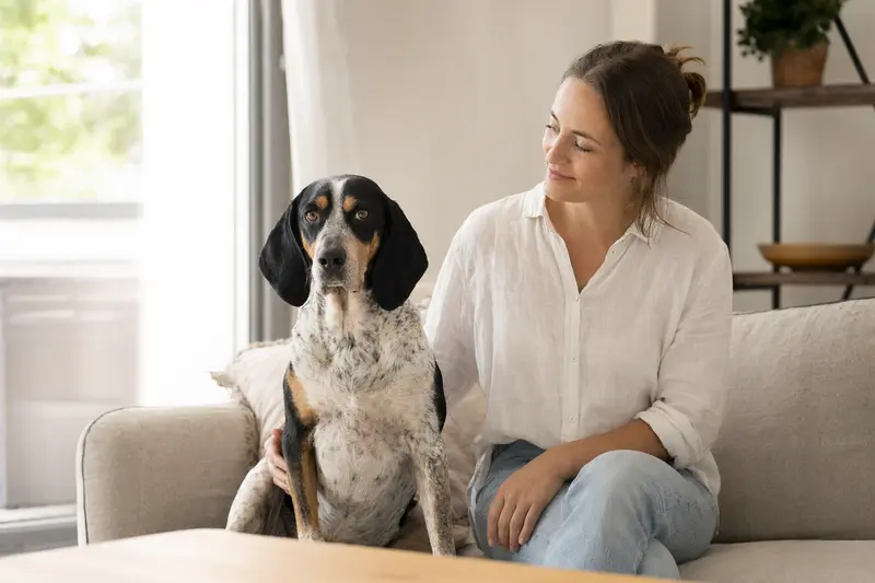 Ein glücklicher Hund sitzt entspannt neben seinem Halter in einer modernen Wohnung und genießt das warme Licht.