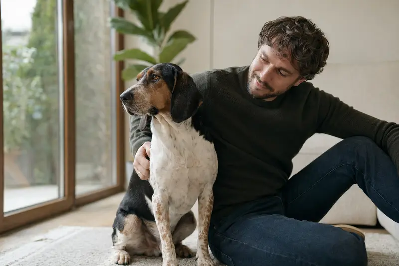 Ein glücklicher Griechischer Spürhund sitzt entspannt neben seinem Besitzer in einer modernen Wohnung, umgeben von warmer natürlicher Beleuchtung.
