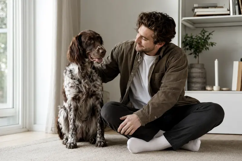 Glücklicher Großer Münsterländer sitzt entspannt neben seinem Halter in einer hellen Wohnung – ein passendes Hero-Bild für eine Hundeversicherung.
