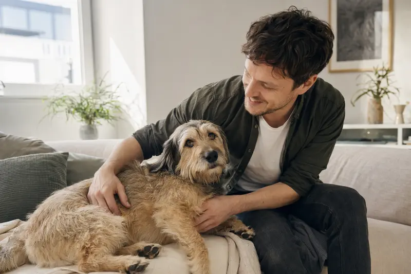 Glücklicher Hund mit seinem Halter in einer hellen modernen Wohnung, passend als Hero-Bild für einen Ratgeber zur Hundeversicherung.