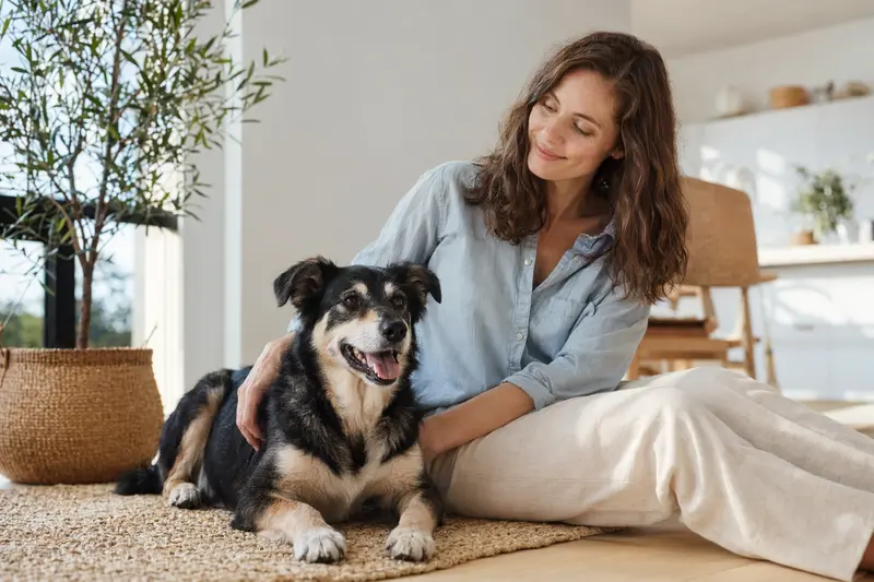 Ein glücklicher Hund sitzt entspannt neben seinem Halter in einer hellen modernen Wohnung als vertrauensvolles Hero-Bild zur Hundeversicherung.