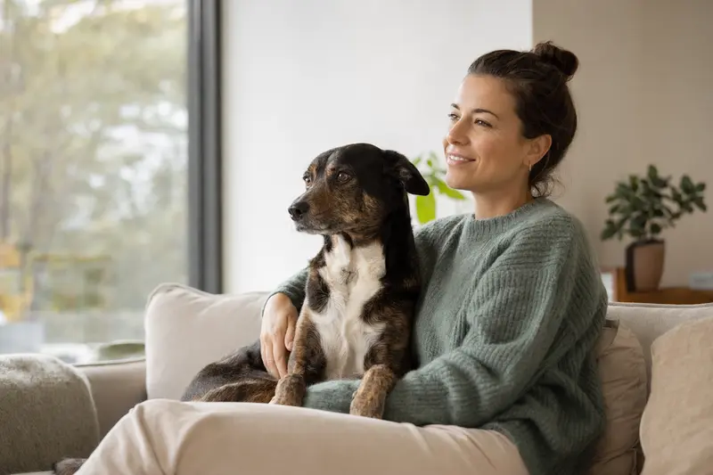Ein glücklicher Hund sitzt entspannt neben seinem Halter in einer modernen Wohnung.