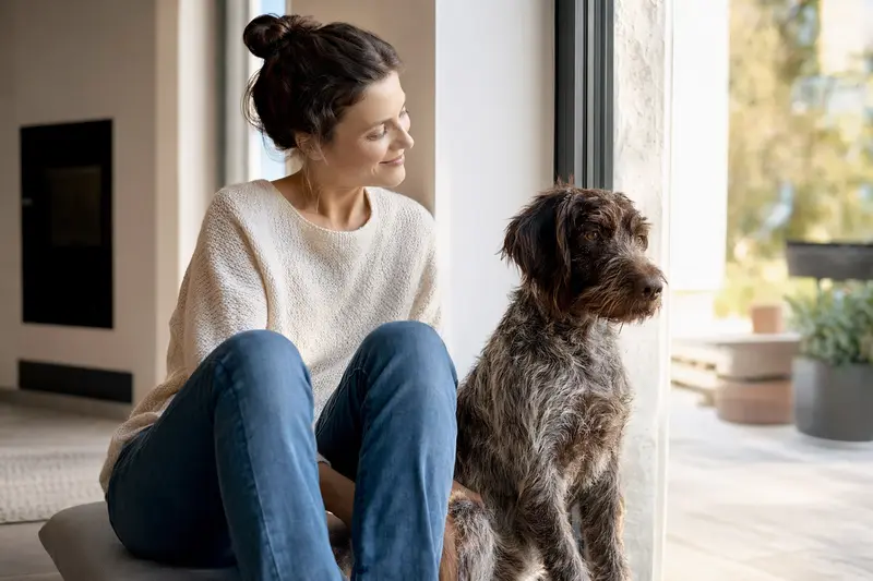 Ein glücklicher Italienischer Rauhhaariger Vorstehhund sitzt entspannt neben seinem Halter in einer lichtdurchfluteten Wohnung.