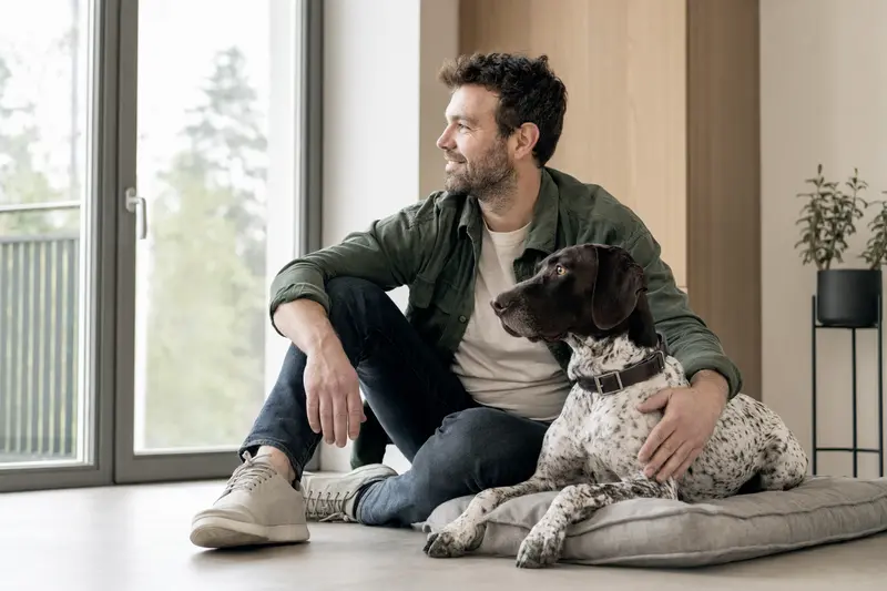 Ein entspannter italienischer Vorstehhund sitzt neben seinem Halter in einer modernen Wohnung und vermittelt eine vertrauensvolle Atmosphäre.