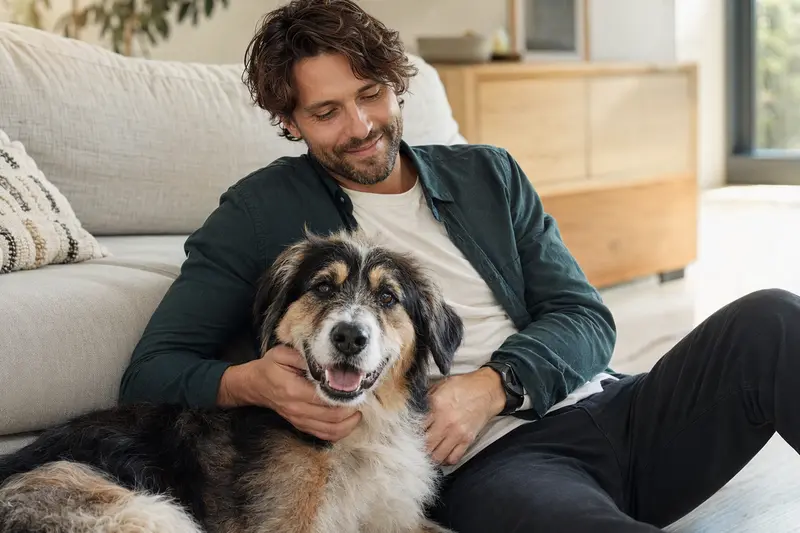 Ein glücklicher Lacy Dog sitzt entspannt neben seinem Halter in einer hellen modernen Wohnung und vermittelt Vertrauen zum Thema Tierkrankenversicherung.