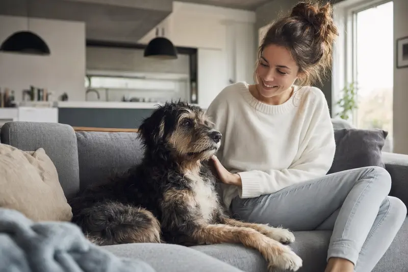 Ein glücklicher Hund sitzt entspannt neben seinem Halter in einer hellen, modernen Wohnung.
