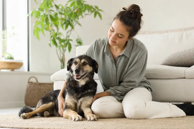Ein glücklicher Hund sitzt entspannt neben seinem Halter in einer hellen, modernen Wohnung.