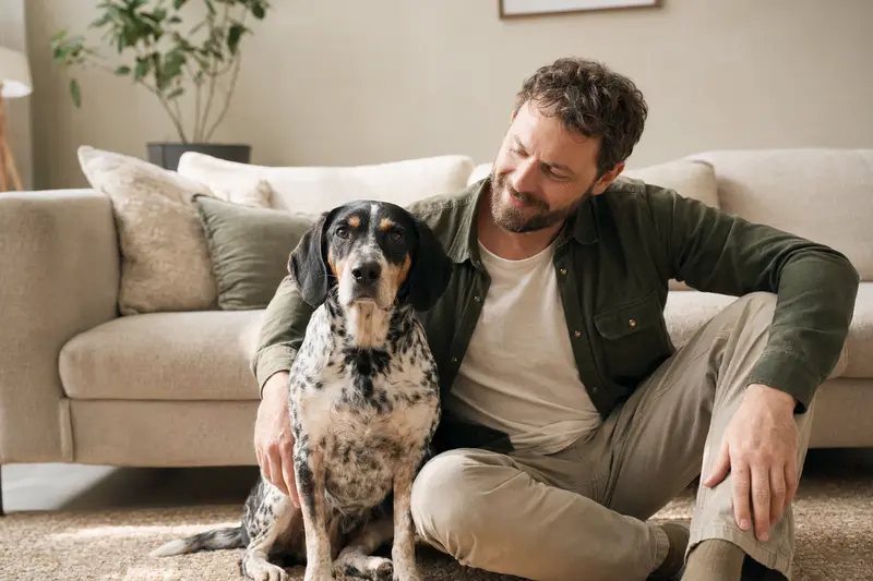 Ein entspannter Polnischer Laufhund sitzt neben seinem Besitzer in einer hellen Wohnung und strahlt Zufriedenheit aus.