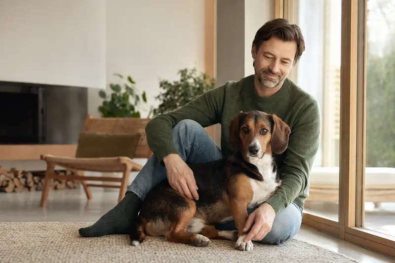 Ein glücklicher Hund mit seinem Besitzer in einer modernen Wohnung, vermittelt eine vertrauensvolle Atmosphäre.