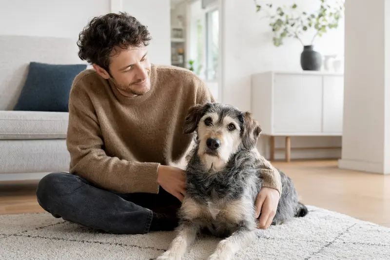 Glücklicher Hund sitzt entspannt neben seinem Halter in einer hellen Wohnung und vermittelt Vertrauen rund um die Hundekrankenversicherung.