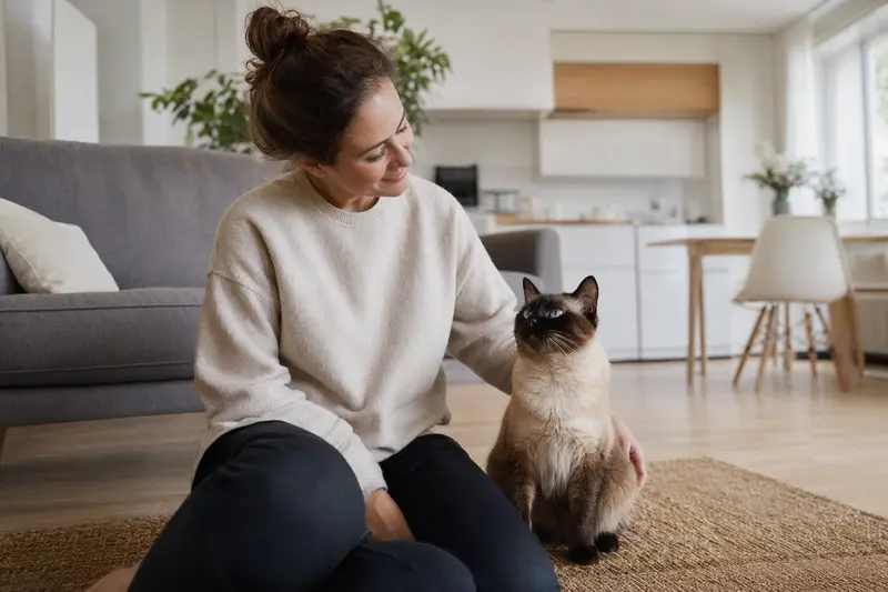 Eine gesunde, freundliche Siamkatze sitzt entspannt neben ihrem Besitzer in einer hellen, modernen Wohnung.