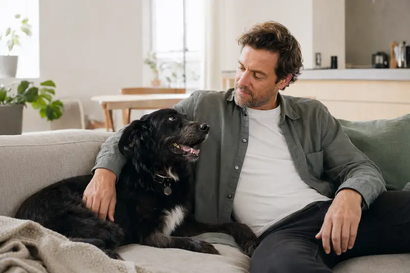 Ein glücklicher Hund sitzt entspannt neben seinem Halter in einer hellen modernen Wohnung.