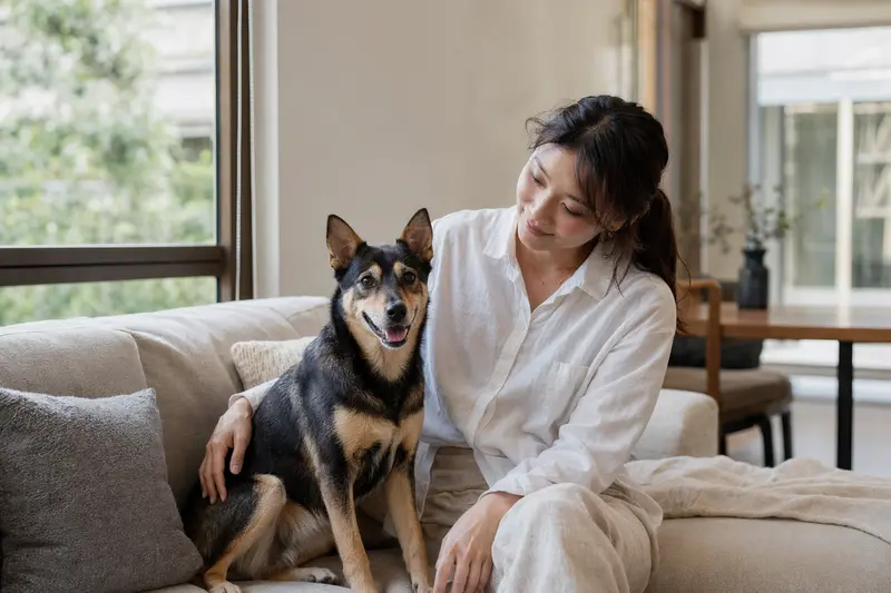 Ein glücklicher Taiwanhund sitzt entspannt neben seinem Halter in einer modernen Wohnung und genießt die Atmosphäre.
