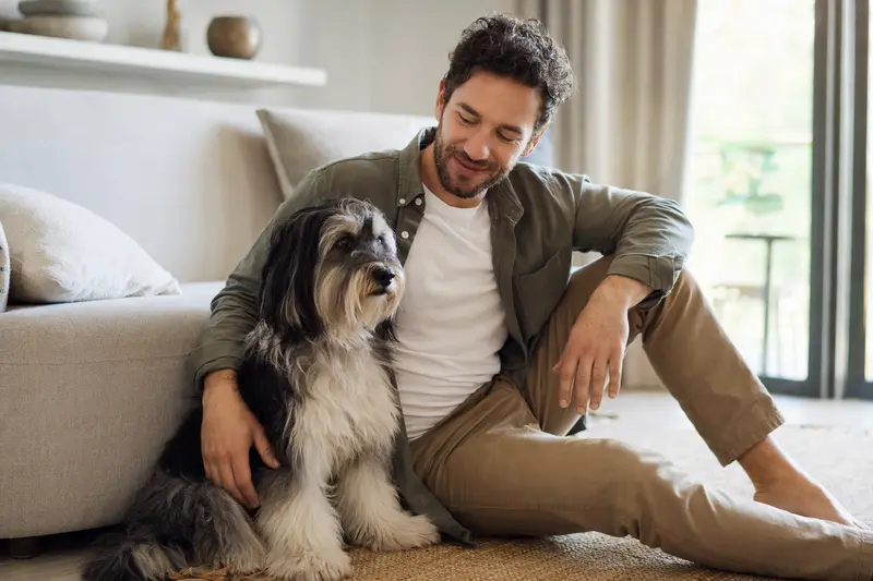 Ein glücklicher Tibet-Terrier sitzt entspannt neben seinem Besitzer in einer modernen Wohnung.