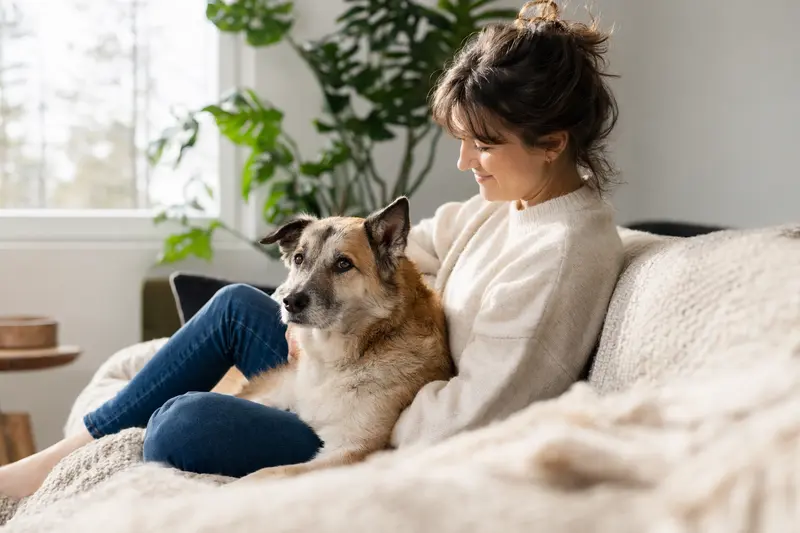 Glücklicher Türkenhund sitzt entspannt neben seinem Halter in einer hellen modernen Wohnung und vermittelt Vertrauen rund um die Hundekrankenversicherung.