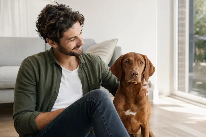 Glückliche Ungarische Bracke sitzt entspannt neben ihrem Halter in einer hellen Wohnung – ein passendes Hero-Bild zum Thema Hundekrankenversicherung.