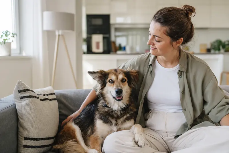 Glücklicher Hund sitzt entspannt neben seinem Halter in einer hellen Wohnung und vermittelt Vertrauen und Sicherheit rund um die Hunderversicherung.