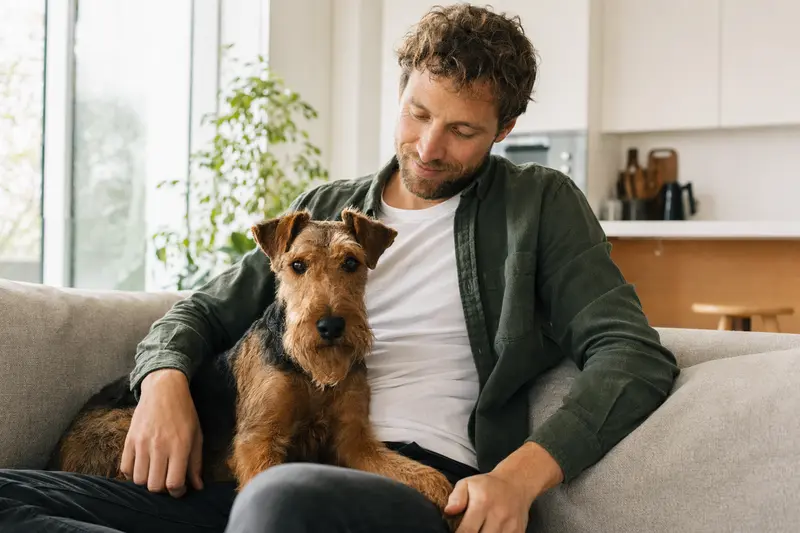 Ein entspannter Welsh Terrier sitzt neben seinem Besitzer in einer modernen Wohnung, umgeben von warmem Licht.