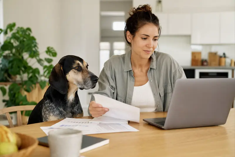 Ein Gonczy Polski Hund sitzt neben seinem Besitzer am Küchentisch, während Versicherungsunterlagen und ein Laptop mit Vergleichsportalen auf dem Tisch liegen.