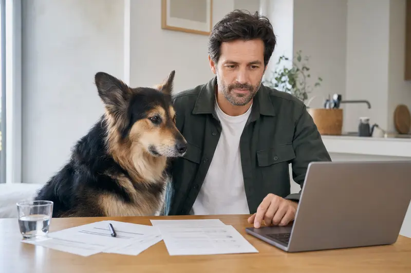 Ein Goralenhund sitzt entspannt neben seinem Besitzer am Küchentisch, während Versicherungsunterlagen und ein Laptop sichtbar sind.