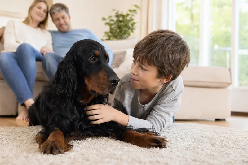 Ein Gordon Setter liegt entspannt neben einem Kind im Wohnzimmer, während die Eltern im Hintergrund eine sichere Familienatmosphäre schaffen.
