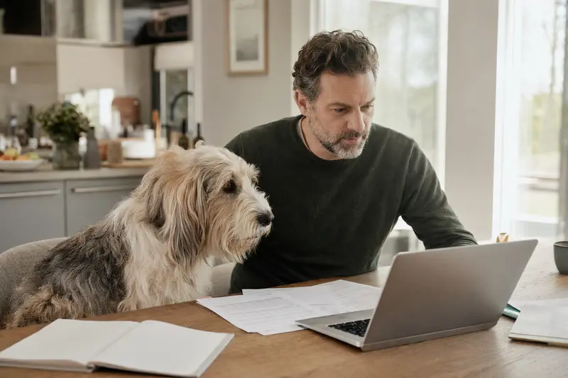 Ein Grand Basset Griffon Vendeen Hund sitzt entspannt neben seinem Besitzer an einem Küchentisch mit Versicherungsunterlagen und einem Laptop.