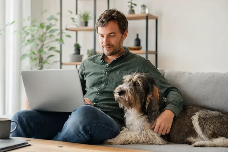 Ein Hund liegt entspannt neben einem Besitzer, der am Laptop sitzt und Versicherungsvergleiche durchführt.