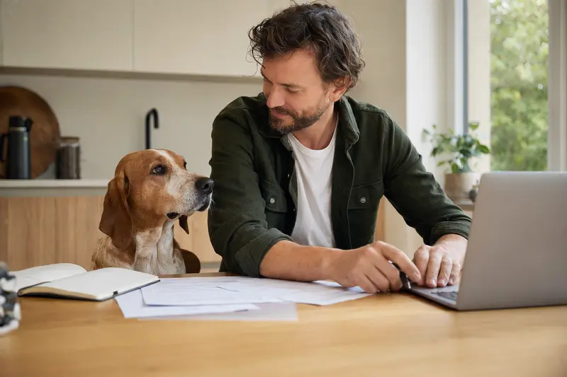 Ein Griechische Bracke Hund sitzt neben seinem Besitzer am Küchentisch mit Versicherungsunterlagen und einem Laptop.