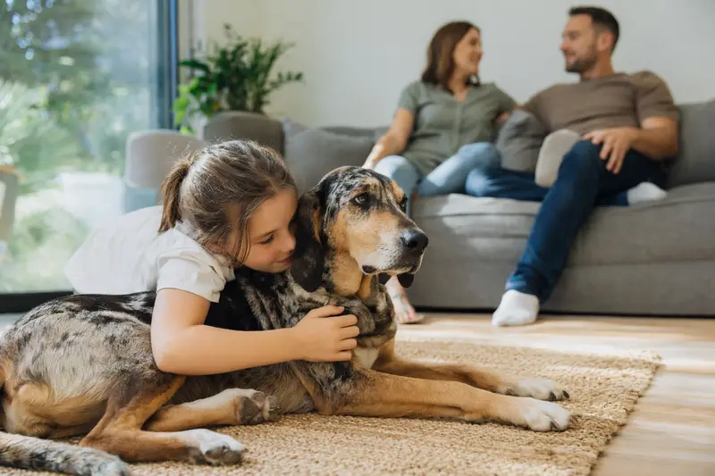 Griechischer Spürhund liegt entspannt neben einem Kind im Wohnzimmer in einer warmen Familienatmosphäre.
