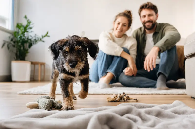 Ein neugieriger Griffon Welpe entdeckt seine neue Umgebung mit einer liebevollen Familie im Hintergrund.