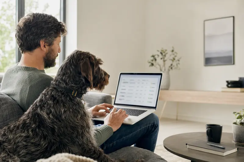 Ein Hundehalter sitzt mit Laptop auf dem Sofa neben einem Griffon d'arrêt à poil dur und nutzt eine Versicherungsvergleichsseite.
