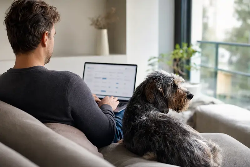 Ein Hundebesitzer sitzt auf dem Sofa mit Laptop und einem Griffon Nivernais, während er eine neutrale Versicherungsvergleichsseite betrachtet.