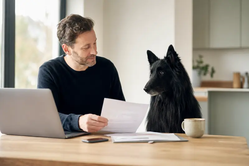 Ein Groenendael Hund sitzt entspannt neben seinem Besitzer am Küchentisch, während Versicherungsunterlagen und ein Laptop auf dem Tisch liegen.