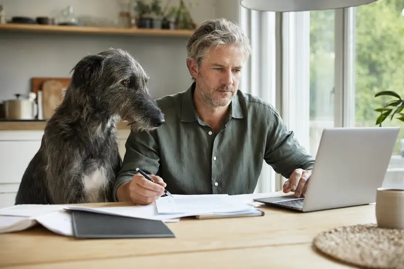 Ein großer Englischer Windhund sitzt entspannt neben seinem Besitzer am Küchentisch, auf dem Versicherungsunterlagen und ein Laptop mit Vergleichsseite liegen.