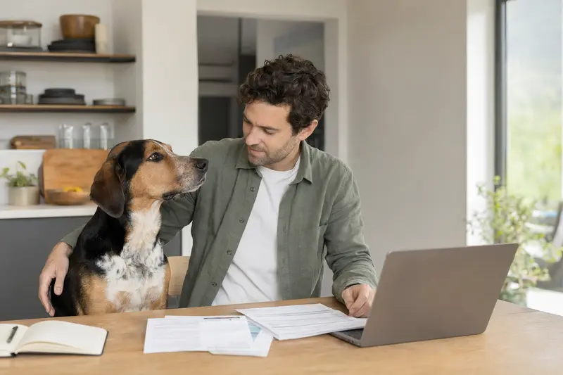 Haldenstövare Hund sitzt neben seinem Besitzer am Küchentisch, während Versicherungsunterlagen und ein Laptop auf dem Tisch liegen.