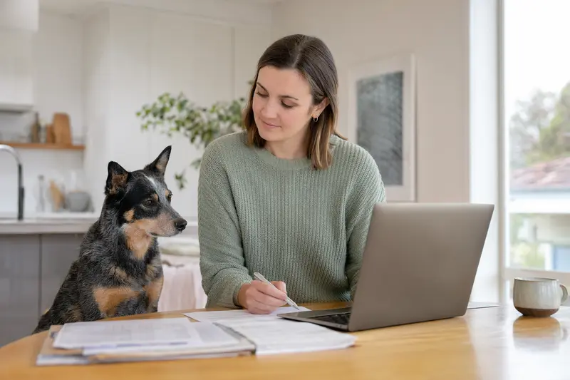 Ein Halls Heeler sitzt ruhig neben seinem Besitzer am Küchentisch mit Versicherungsunterlagen und einem Laptop mit neutraler Vergleichsseite.